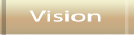 vision.html