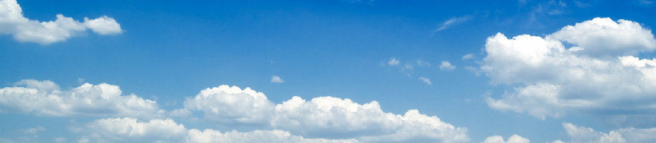 wwtl004006.jpg